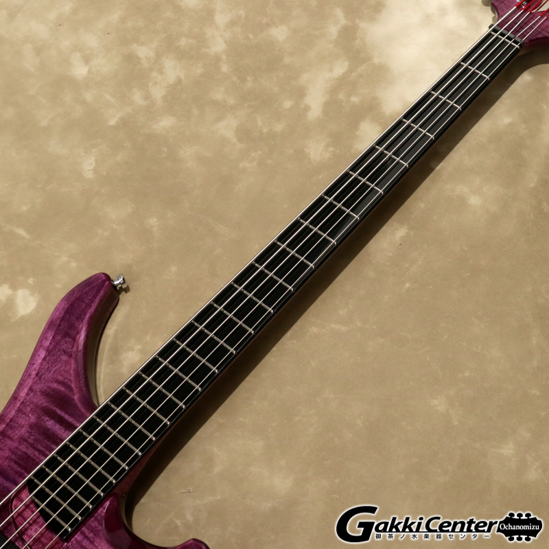 Vigier ( ヴィジェ ) Arpege 5 strings, V5ECC, Amethyst Purple [S/N