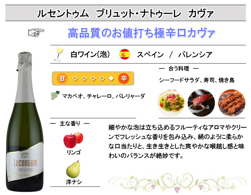 厳選 スパークリング ワイン セット 3 本 辛口 飲み比べ スペイン