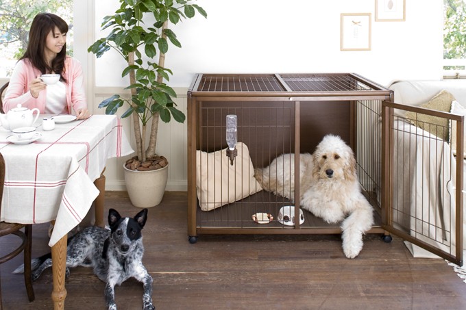 Kiinus（キーヌス） [ペットケージ ハウス BS-A120] 犬用 ケージ 多頭