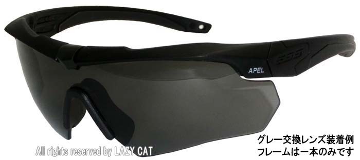 ESS 米軍 クロスボウ CROSSBOW サングラス軍用仕様(Unit Issue) APEL