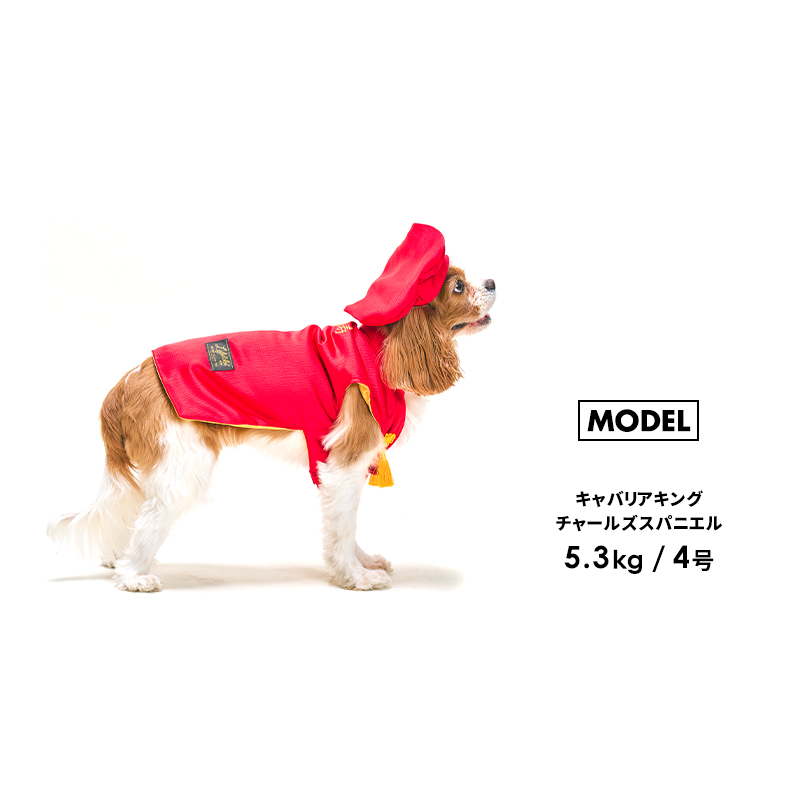 r_chanさま専用☺︎わんこふく 犬服 【公式通販】