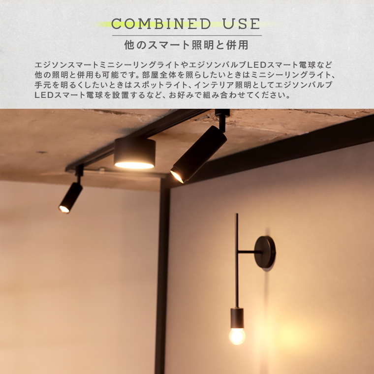 Edison Smart（エジソンスマート） 5個セット ミニスポットライト照明