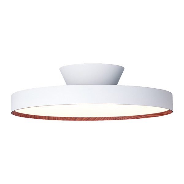 ARTWORKSTUDIO（アートワークスタジオ） レビュー特典 シーリング