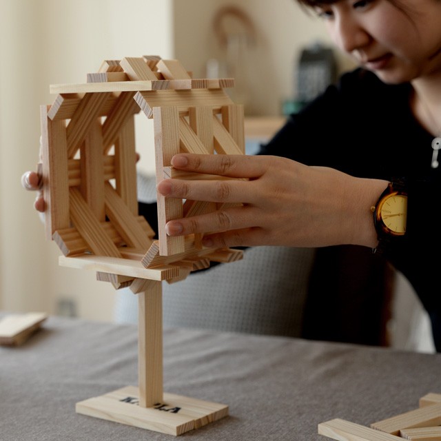 カプラ 積み木 KAPLA 280 初級 緑 アートブック付 魔法の板 ブロック