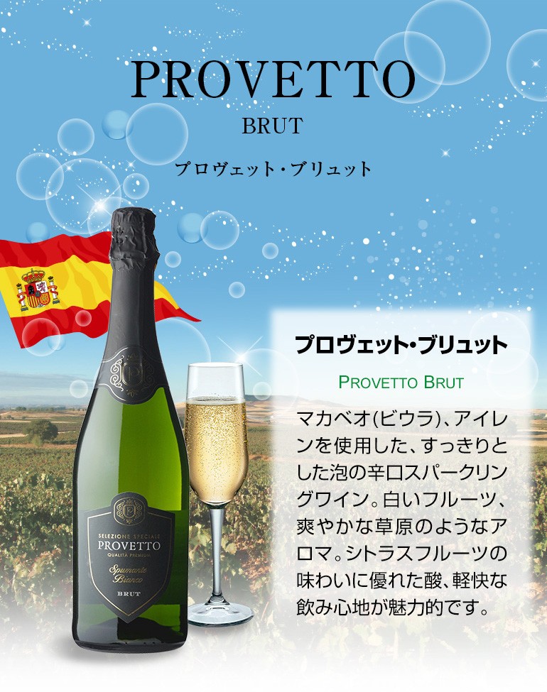 スパークリング ワインセット 泡 スペイン産 プロヴェット ブリュット