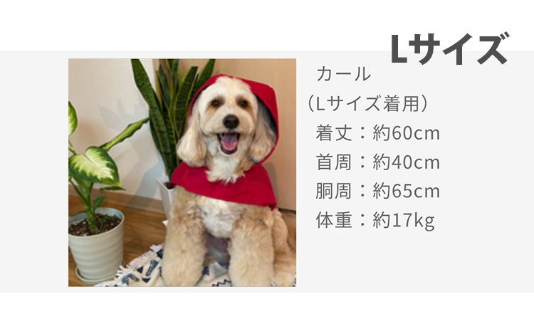 わんちゃんグッズ付 DeLoreans 犬用レインコート Lサイズ 穴澤賢 中型