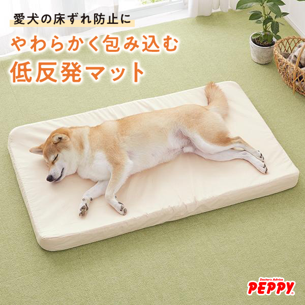 PEPPY（ペピイ） うんぽパンツ S・36枚 犬 おむつ 介護 おもらし