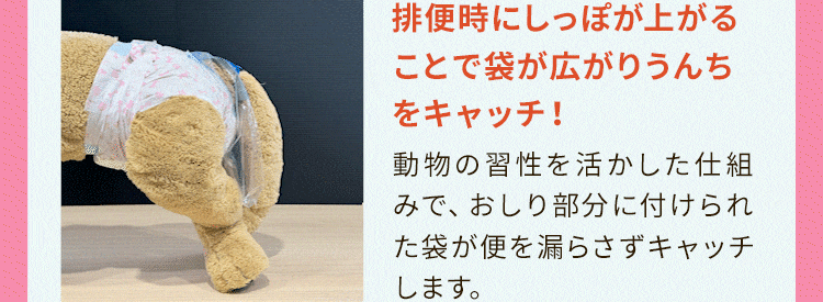PEPPY（ペピイ） うんぽパンツ S・36枚 犬 おむつ 介護 おもらし