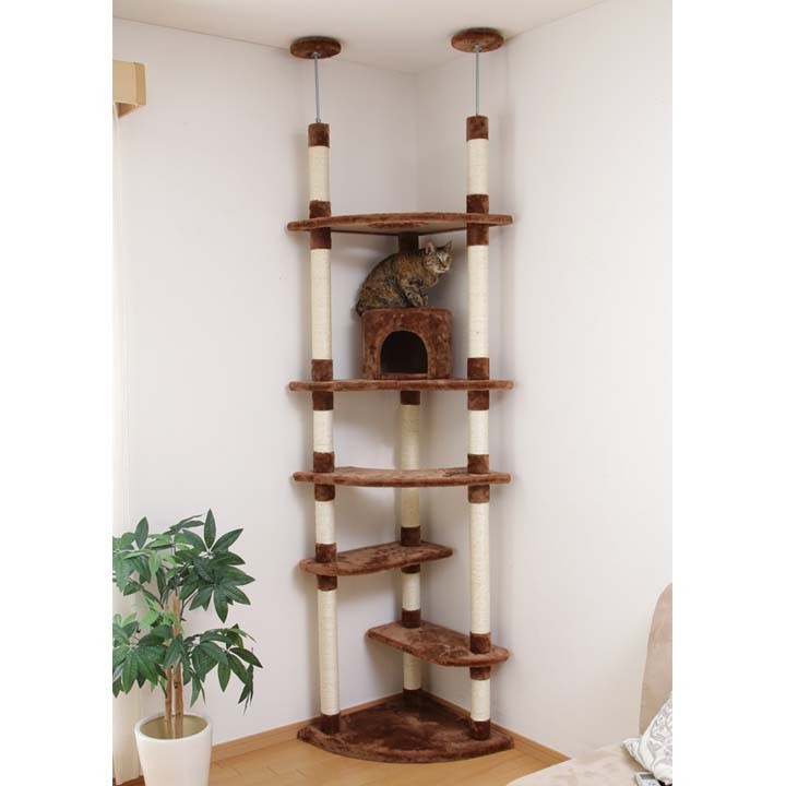 キャットタワー 突っ張り 猫タワー スリム おしゃれ おすすめ キャット