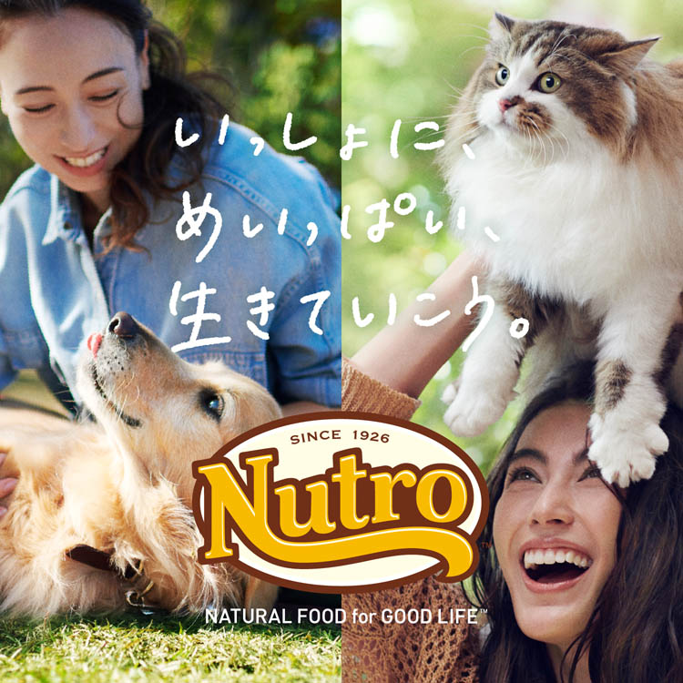 ニュートロ ナチュラルチョイス フィッシュ＆ポテト 全犬種用 成犬用