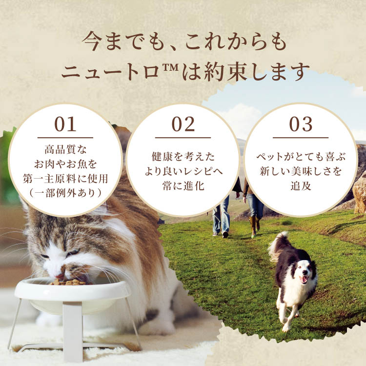 ニュートロ シュプレモ エイジングケア 13.5kg シニア犬用