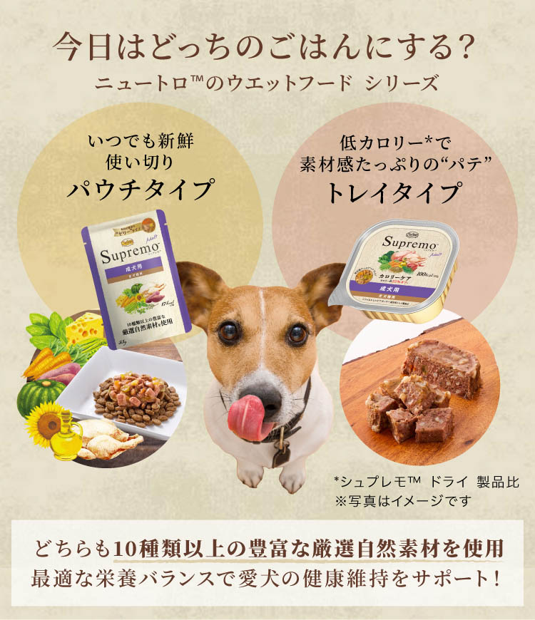 ニュートロ ナチュラル チョイス 減量用 全犬種 成犬 ラム玄米 13.5kg