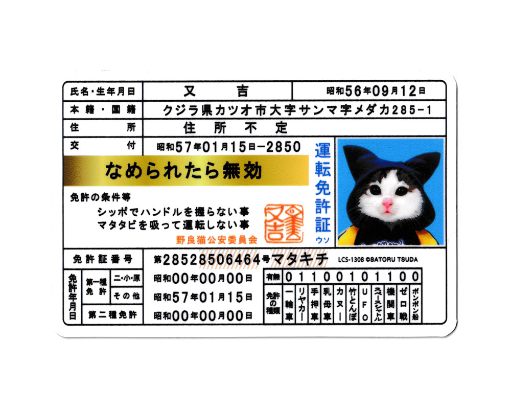 なめ猫 ステッカー かわいい レトロ 昭和 懐かしい 猫 グッズ 免許証02