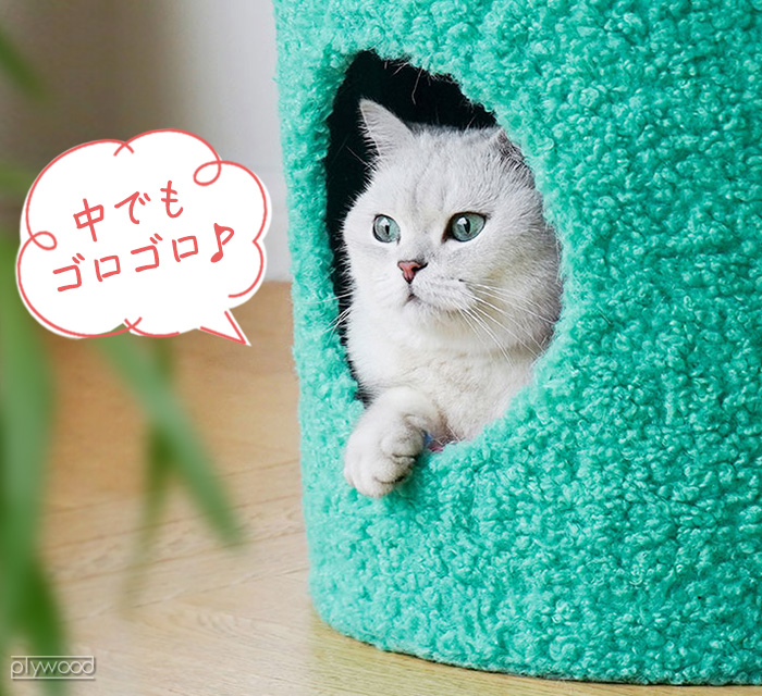 パープル猫様 パープル猫 パープル猫 パープル猫 パープル猫様 楽天