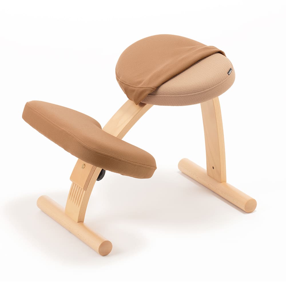 購入 【美品】バランスイージー （バランスラボ製）撥水加工カバー付き