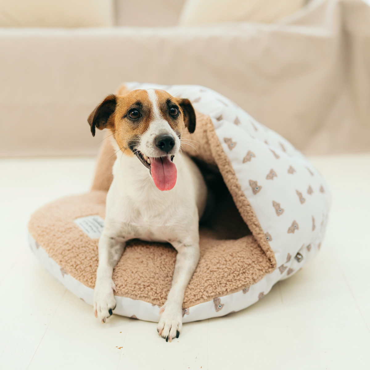 RADICA（ラディカ） 【ご愛顧SALE】犬 猫 ベッド コーデュラ プリント