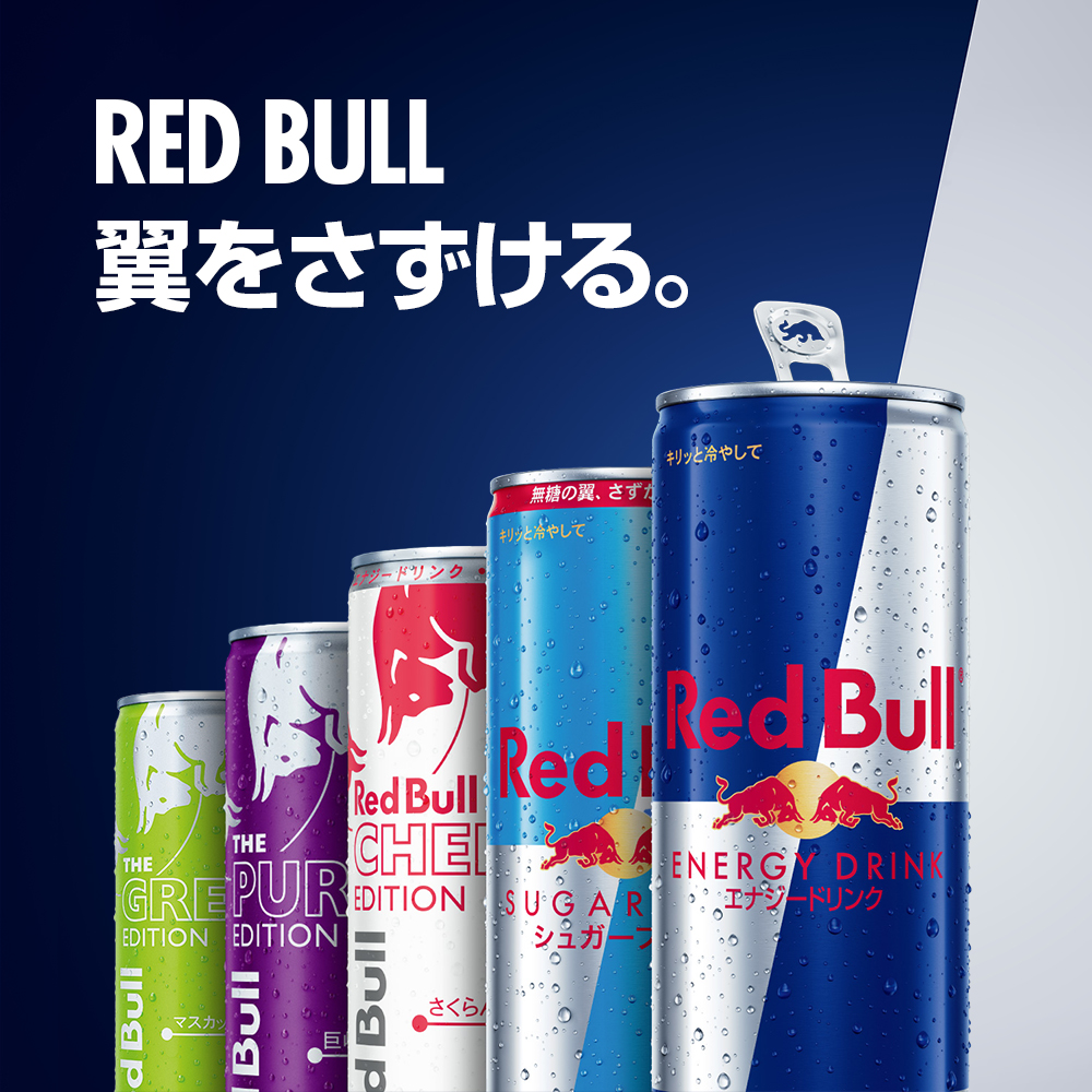 レッドブル（RedBull） ＼17%OFFクーポン対象 2/11まで／公式 エナジー
