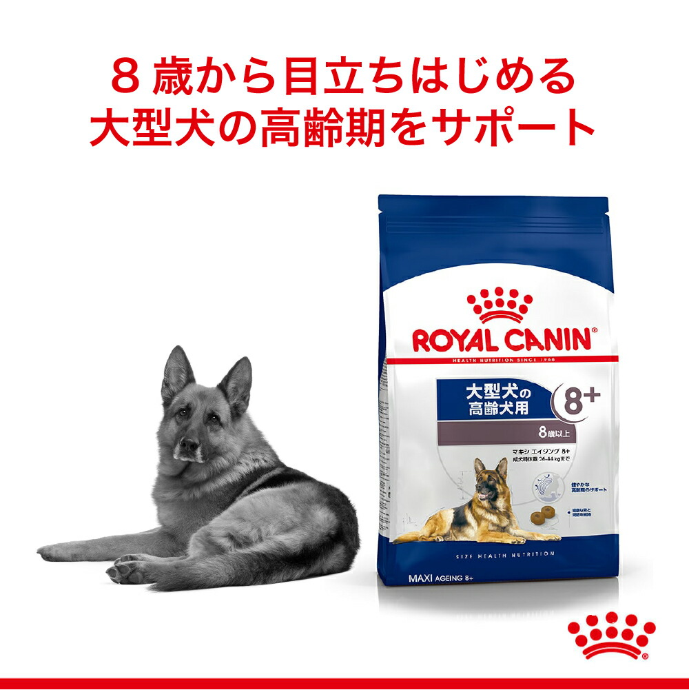 サイズ ヘルス ニュートリション ロイヤルカナン SHN マキシ