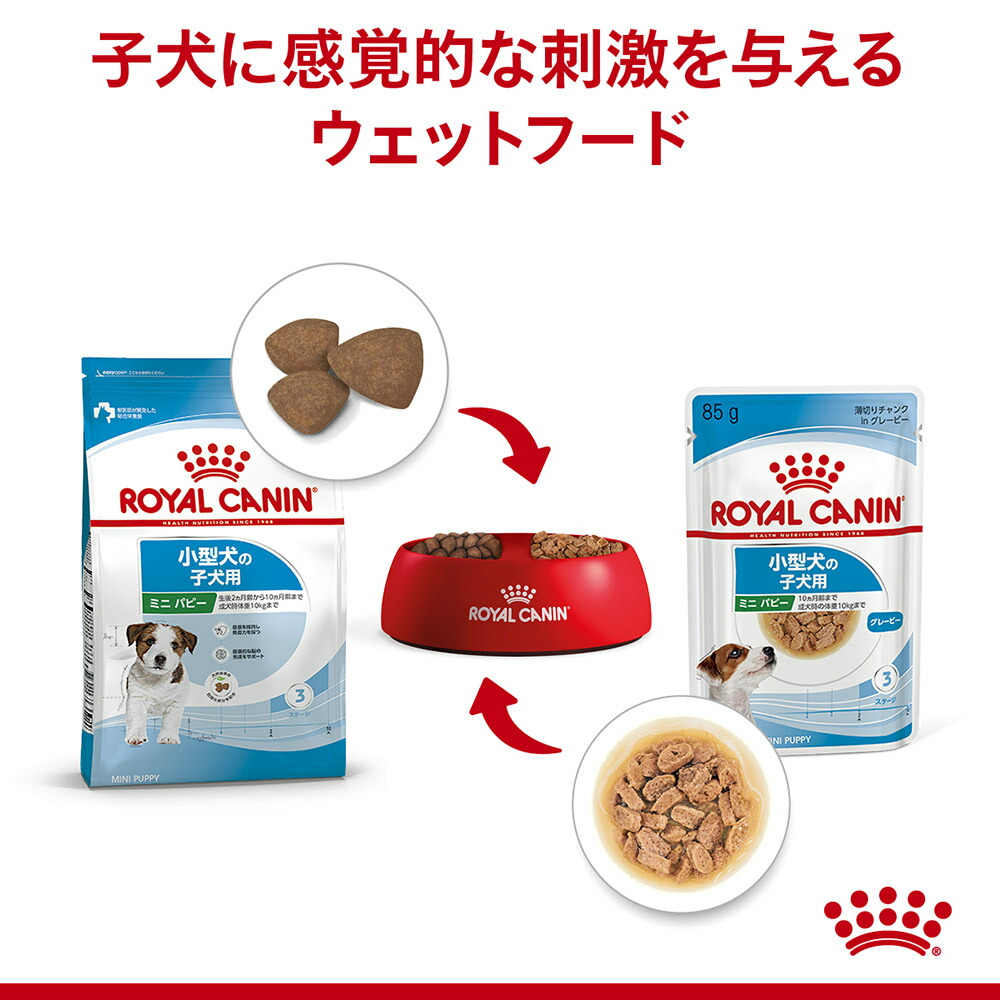 サイズ ヘルス ニュートリション 【85g×48袋】ロイヤルカナン SHN-WET