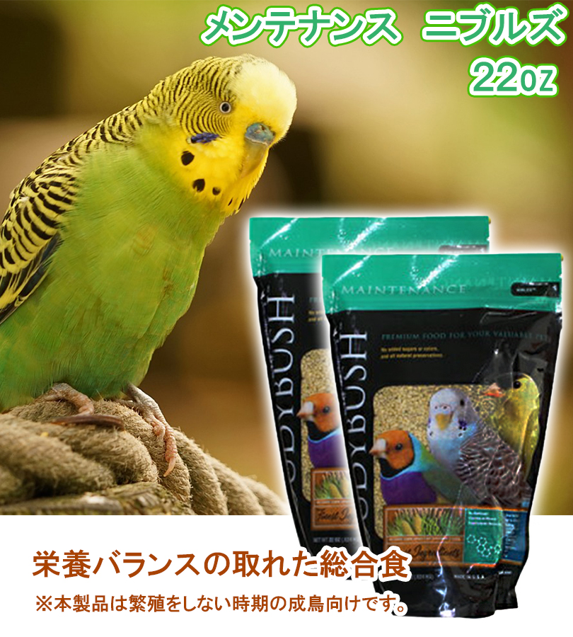 友】鳥の餌セット 友】鳥の餌セット 友】鳥の餌セット 2025年11月】鳥