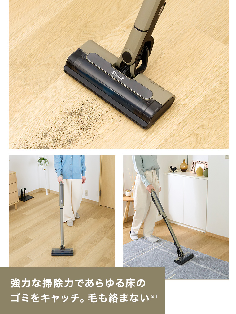 Shark（シャーク） 34%OFF ポイントUP Shark EVOPOWER SYSTEM STD