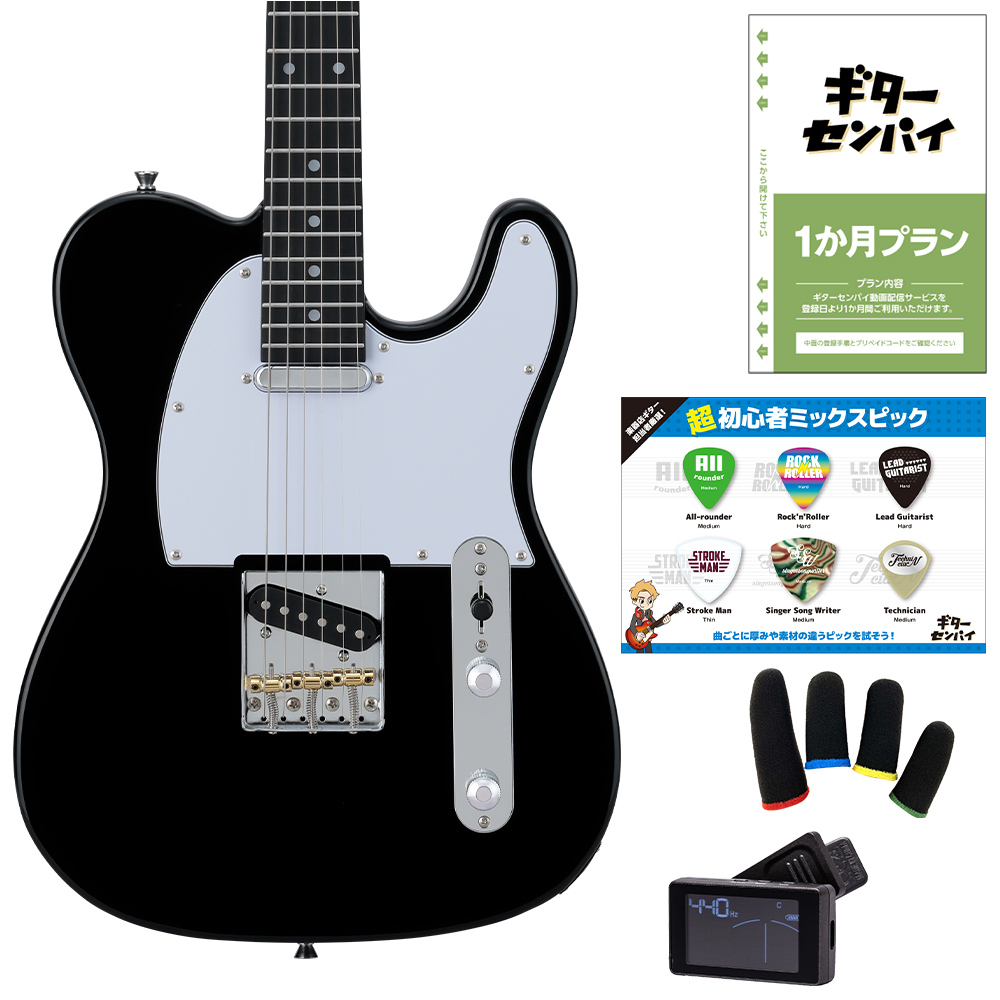 ギターを挫折したくないあなたへ BUSKER'S バスカーズ BTL-Standard 超