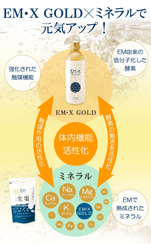 EM・Xゴールド（500ml） 2本セット EM生活 : PURE・HEART 自然館