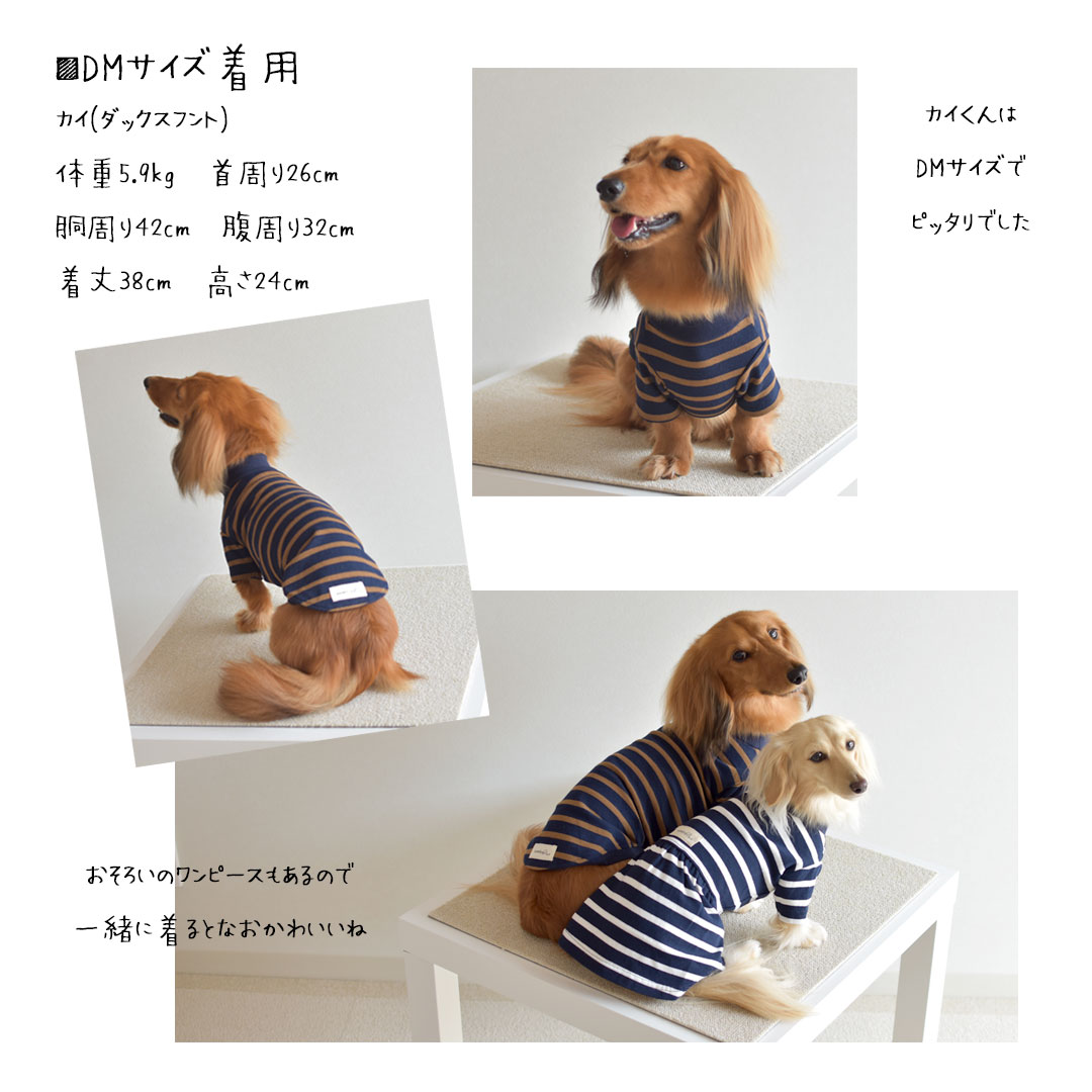 ダックスサイズ ボーダー snowdrop 名入れ 刺繍 Tシャツ ロング