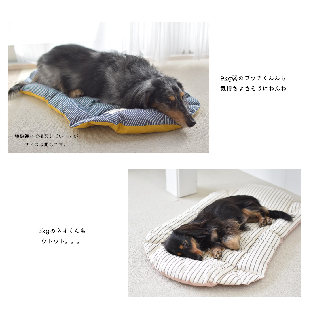 リバーシブル マルチマット プリント名入れ クレートマット ペット