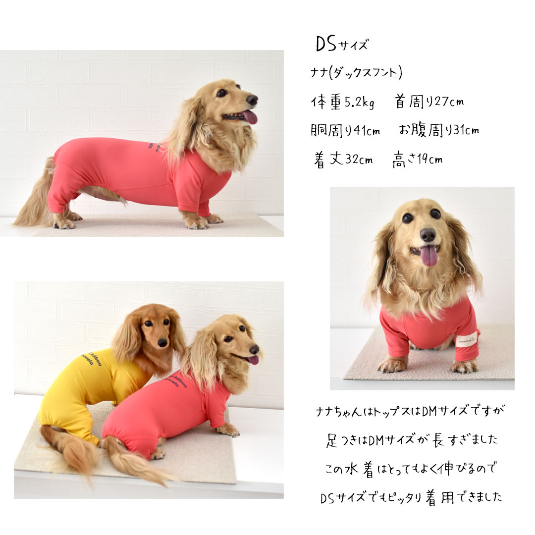 ロゴ水着 ダックスサイズ ラッシュガード snowdrop アクティブ