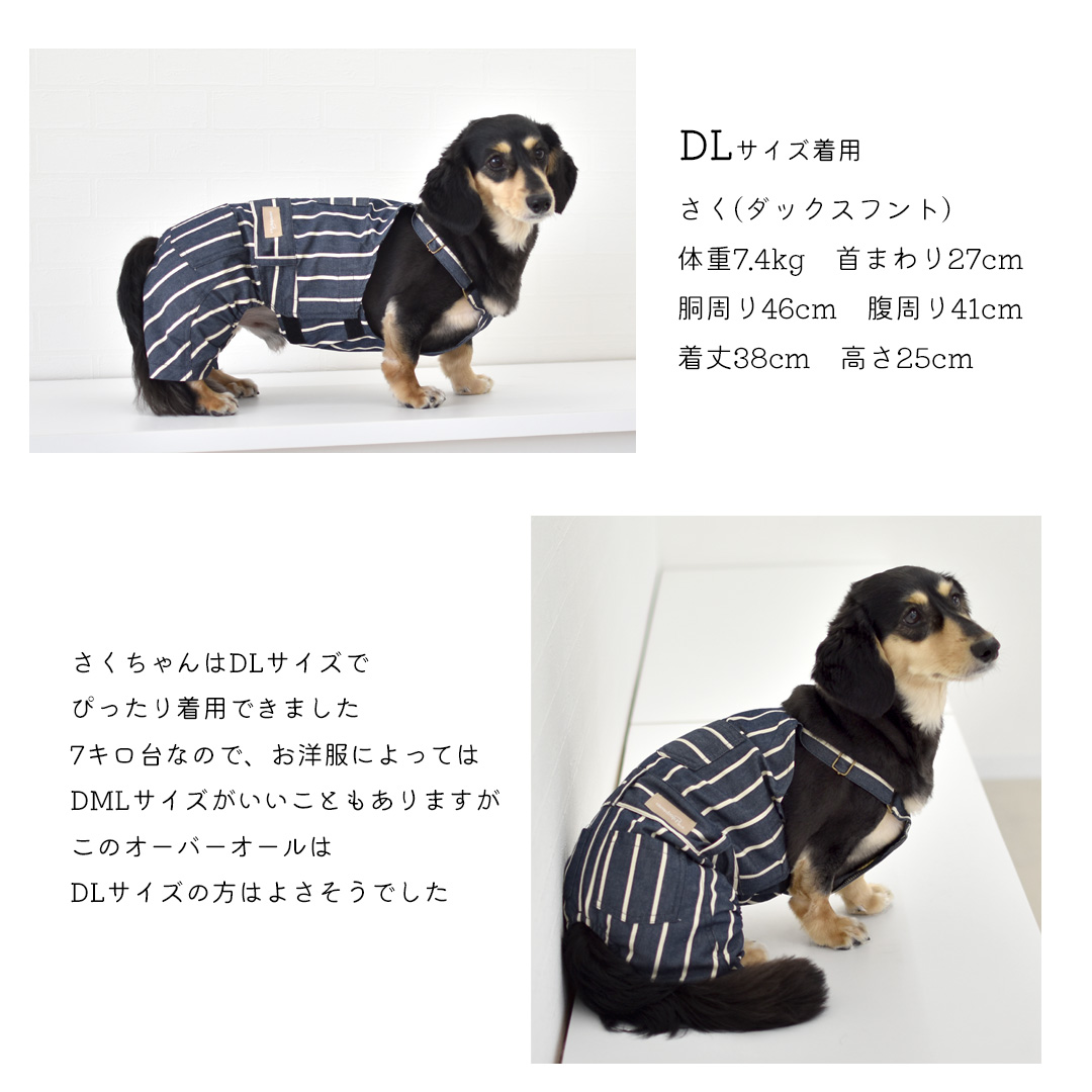 在庫処分セールの為返品交換不可)ダックスサイズ ストライプ