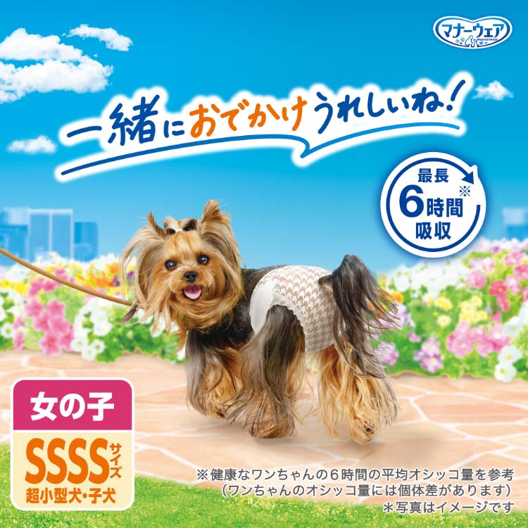 マナーウェア 女の子用 SSSS トラッドテイスト 犬用 おむつ ユニ