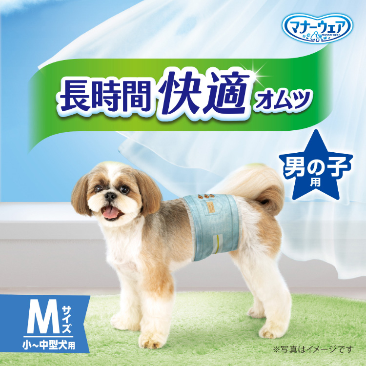いぬ用マナーパンツ 男の子用 Mサイズ 38枚入り 8袋セット｜楽天