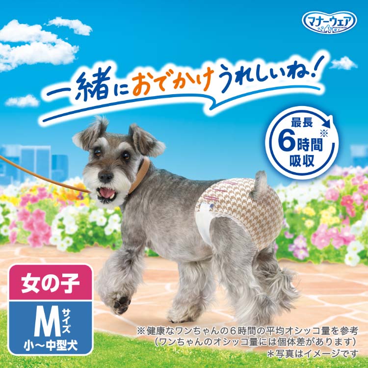 マナーウェア 女の子用 M トラッドテイスト 犬用 おむつ ユニチャーム
