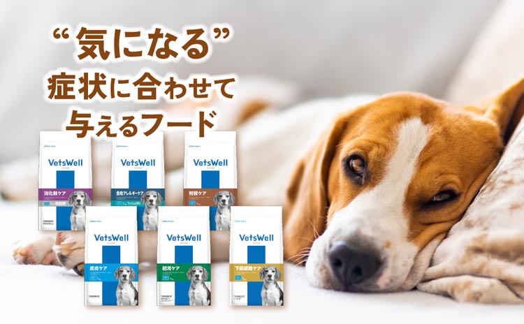 ベッツウェル 犬用食事療法食 皮膚ケア ( 3kg )/ : 爽快ドラッグ