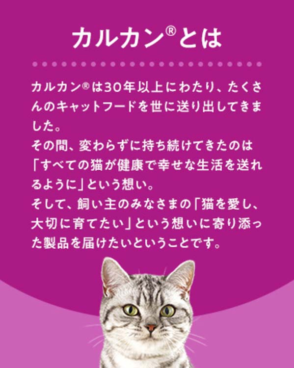 カルカン パウチ 味わいチキン 成猫 キャットフード ウェットフード