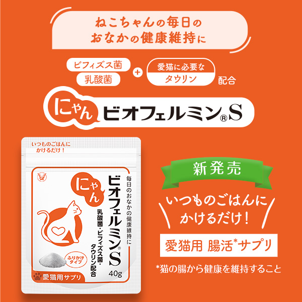 大正製薬 公式 にゃんビオフェルミンS 40g2袋 猫 サプリ フード