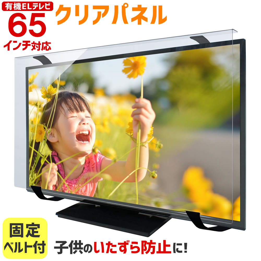東芝 2018年製 50インチ 液晶テレビ リモコン、液晶保護パネル付き