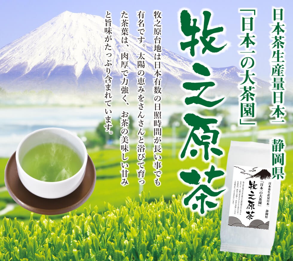 送料無料 3つの産地をお試し 牧之原・掛川・川根 100g×3袋セット お茶