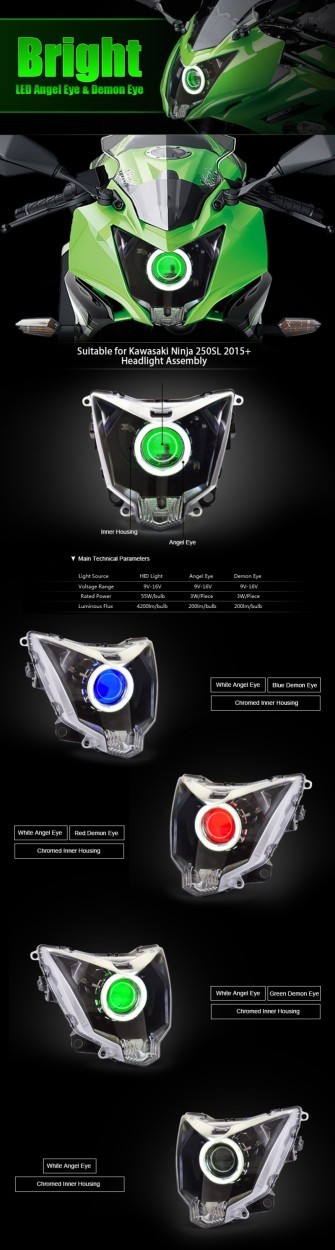 在庫限り】Kawasaki Ninja 250SL 15-16年 カスタムヘッドライトキット