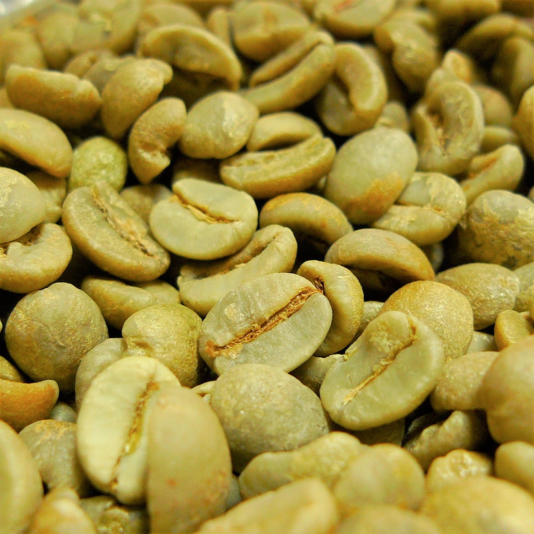 014151.com（おいしいコーヒードットコム） コーヒー豆 ブラジル産