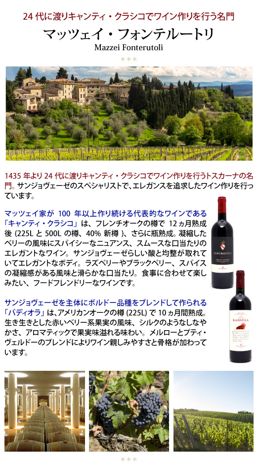 2017 シエピ 750ml マッツェイ フォンテルートリ トスカーナ IGT