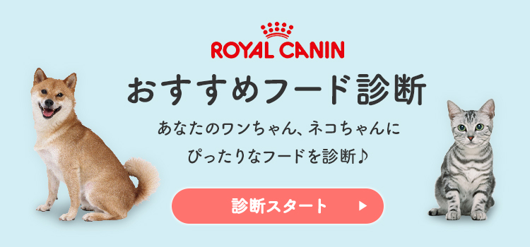 ロイヤルカナン（ROYAL CANIN） ドッグフード 犬 ミニ インドア