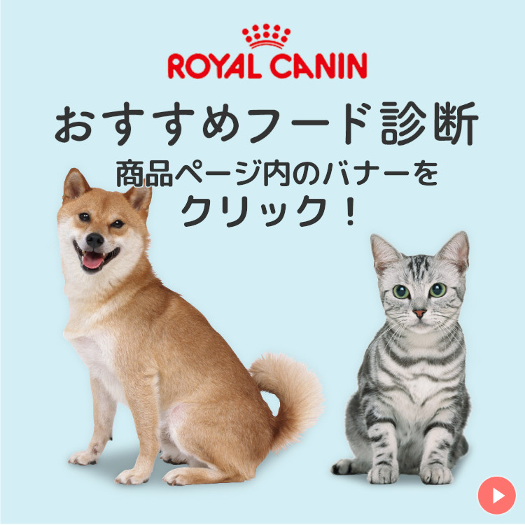 ロイヤルカナン（ROYAL CANIN） 柴犬 中・高齢犬用 8＋ 3kg 犬 フード