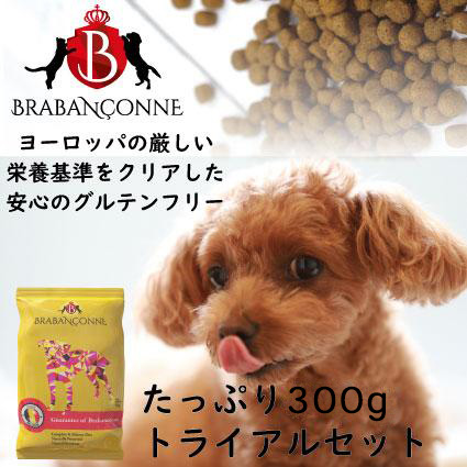 BRABANCONNE（ブラバンソンヌ） ドッグフード 犬用 たっぷり お試し