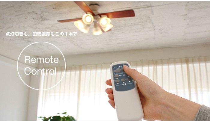 plus more 特典付 plusmore シーリングファン Windouble ウィンダブル