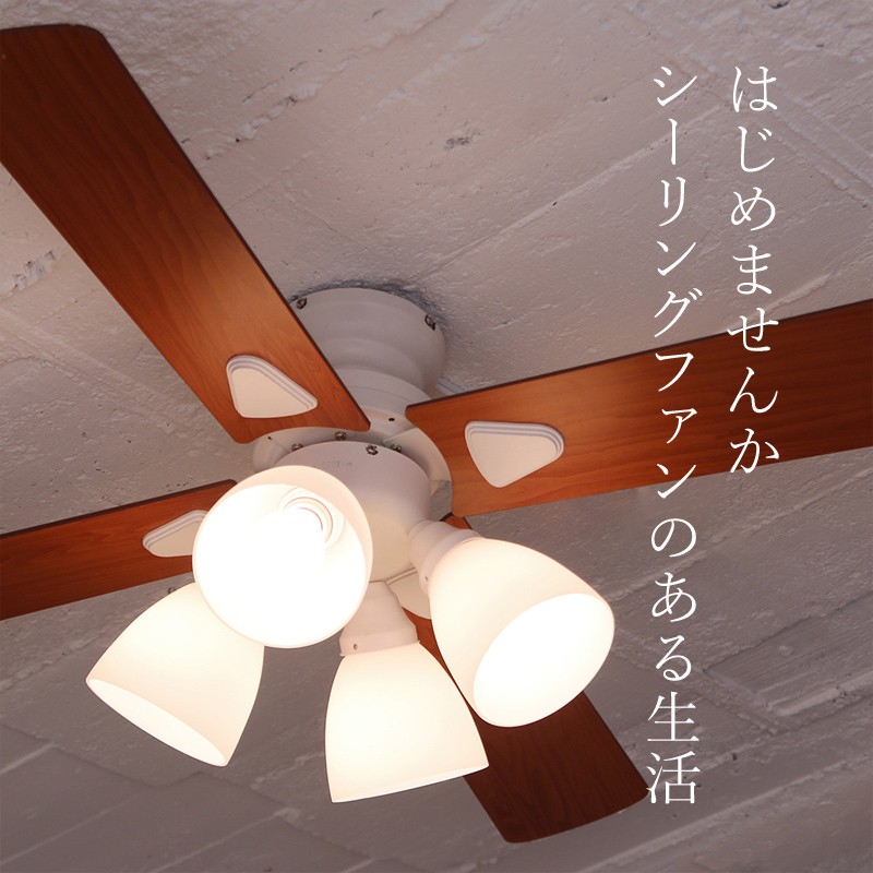 plus more 特典付 plusmore シーリングファン Windouble ウィンダブル