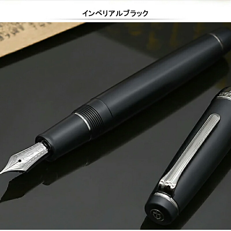 プロフェッショナルギア 名入れ 万年筆 セーラー SAILOR 21金・大型 MF