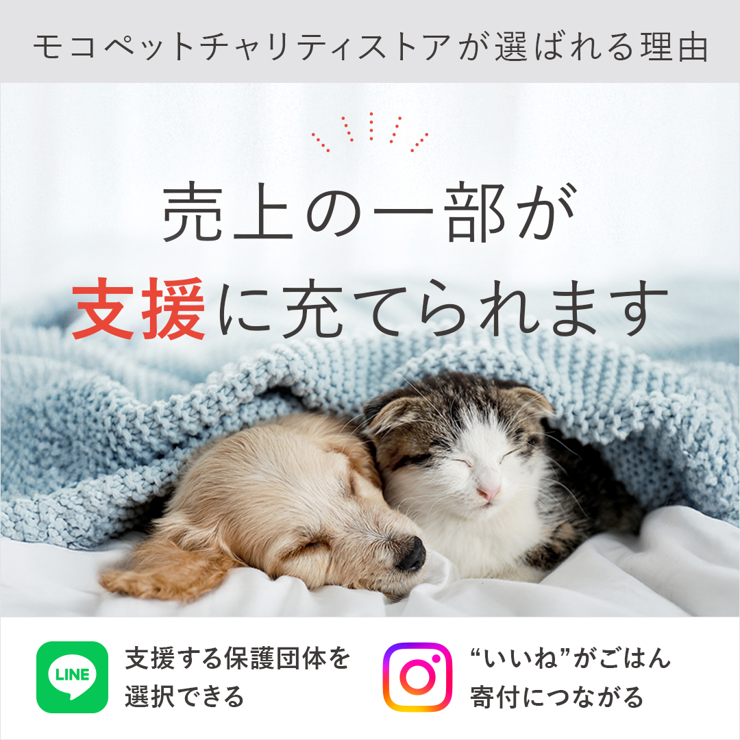 Cube 【正規2年保証】エアバギー フォー ペット ネストバイク[NEST