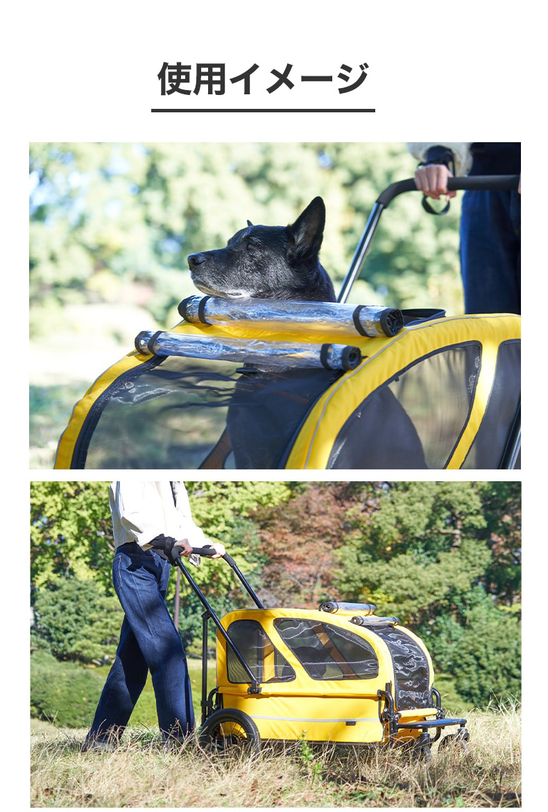 AIRBUGGY（エアバギー） 【正規2年保証】エアバギー キャリッジ